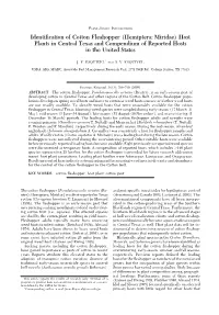 Identification of Cotton Fleahopper (Hemiptera: Miridae) Host Plants In