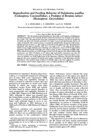 Reproduction and Feeding Behavior of Delphastus Pusillus (Coleoptera: Coccinellidae), a Predator of Bemisia Tabaci (Homoptera: Aleyrodidae)
