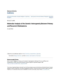 Molecular Analysis of the Genetic Heterogeneity Between Primary and Recurrent Glioblastoma