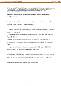 Polyphasic Classification of the Gifted Natural Product Producer Streptomyces