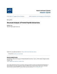 Structural Analysis of Protein-Peptide Interactions