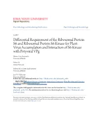 Differential Requirement of the Ribosomal Protein S6 And