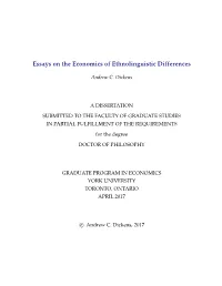 Essays on the Economics of Ethnolinguistic Differences