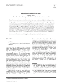 Foraging Modes of Carnivorous Plants Aaron M