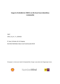 Impact of Windfarm OWEZ on the Local Macrobenthos Communiy