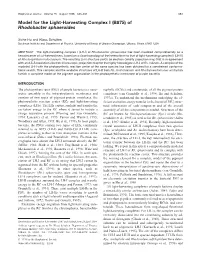 Model for the Light-Harvesting Complex I (B875) of Rhodobacter Sphaeroides
