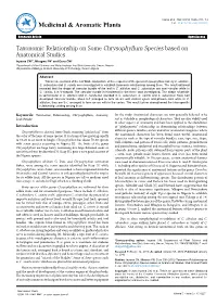 Taxonomic Relationship on Some Chrysophyllum Species Based On