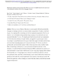 Behavioral Responses of the Invasive Fly Philornis Downsi to Stimuli from Bacteria and Yeast in the Laboratory and the Field in the Galapagos Islands