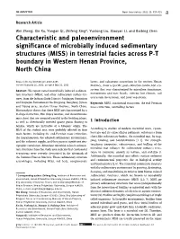 Characteristic and Paleoenvironment Significance of Microbially Induced