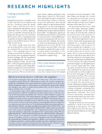 Mechanotransduction in Collective Cell Migration