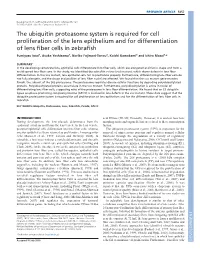 The Ubiquitin Proteasome System Is Required for Cell Proliferation of The