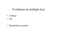 Evolution at Multiple Loci