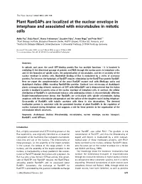 Plant Rangaps Are Localized at the Nuclear Envelope in Interphase and Associated with Microtubules in Mitotic Cells