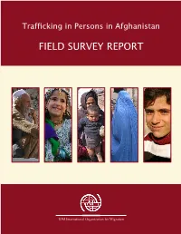 Field Survey Report