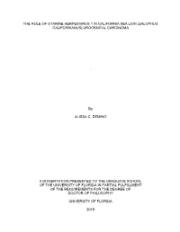 University of Florida Thesis Or Dissertation Formatting