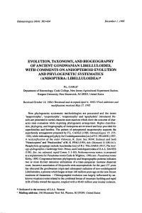 Evolution, Taxonomy, Libelluloides