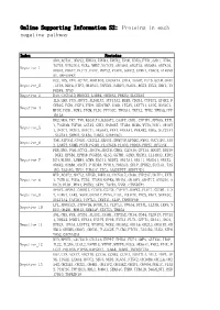 Online Supporting Information S2: Proteins in Each Negative Pathway