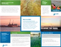 Vnsc-Vouwfolder-Eng.Pdf