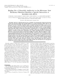 Binding Site of Macrolide Antibiotics on the Ribosome: New Resistance Mutation Identiﬁes a Speciﬁc Interaction of Ketolides with Rrna
