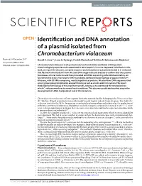 Identification and DNA Annotation of a Plasmid Isolated From