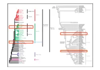 Systematikss11 8.Pdf