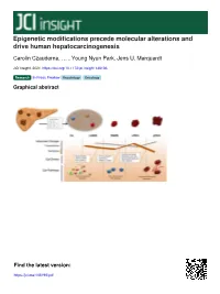 Epigenetic Modifications Precede Molecular Alterations and Drive Human Hepatocarcinogenesis