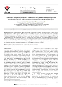 Meloidae (Coleoptera) of Pakistan and Kashmir with the Description of Three New Species, New Faunistic and Taxonomic Records, and a Zoogeographic Analysis