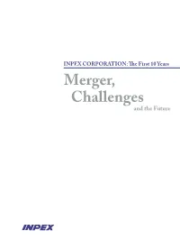 Merger, Challenges