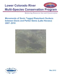 Movements of Sonic Tagged Razorback Suckers Between Davis and Parker Dams (Lake Havasu) 2007–2010