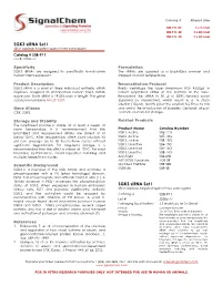 SGK3 Sirna Set I Sirna Duplexes Targeted Against Three Exon Regions