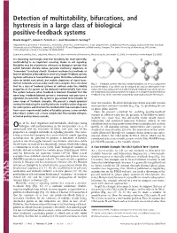 Detection of Multistability, Bifurcations, and Hysteresis in a Large Class of Biological Positive-Feedback Systems
