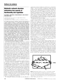 Metabolic Network Structure Determines Key Aspects of Functionality and Regulation