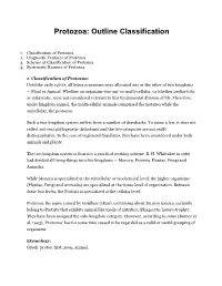 Protozoa: Outline Classification