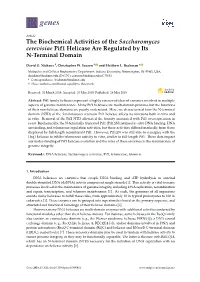 The Biochemical Activities of the Saccharomyces Cerevisiae Pif1 Helicase Are Regulated by Its N-Terminal Domain