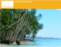 2013 Annual Report