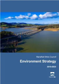 Environment Strategy