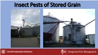 Insect Pests of Stored Grain Blog