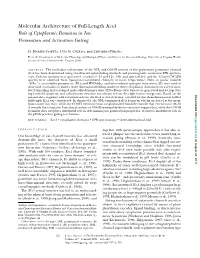 Molecular Architecture of Full-Length Kcsa Role of Cytoplasmic Domains in Ion Permeation and Activation Gating