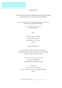 Organizing the City: Morphology and Dynamics Phenomenology of a Spatial Hierarchy