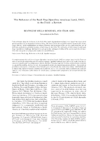 The Behavior of the Bush Dog (Speothos Venaticus Lund, 1842) in the Field: a Review