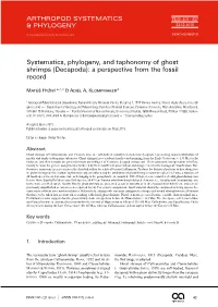 Systematics, Phylogeny, and Taphonomy of Ghost Shrimps (Decapoda): a Perspective from the Fossil Record