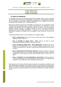 Ficha Sitio C27 CABO POLONIO