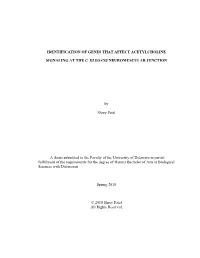 Identification of Genes That Affect Acetylcholine