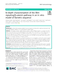 In-Depth Characterization of the Wnt-Signaling/Β-Catenin Pathway In