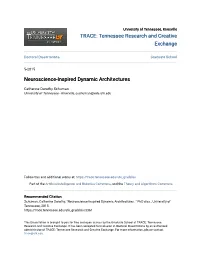 Neuroscience-Inspired Dynamic Architectures