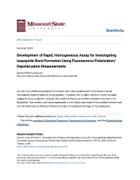 Development of Rapid, Homogeneous Assay for Investigating Isopeptide Bond Formation Using Fluorescence Polarization/ Depolarization Measurements