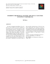 Inferring the Retinal Anatomy and Visual Capacities of Extinct Vertebrates