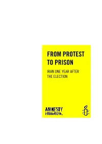 MDE 130622010 from Protest to Prison WITHOUT PICTURE