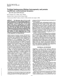 Terbium Luminescence-Lifetime Heterogeneity and Protein Equilibrium Conformational Dynamics (Glass/Rubber/Phase Transition/Fluorescence) R