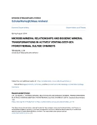 Microbe-Mineral Relationships and Biogenic Mineral Transformations in Actively Venting Deep-Sea Hydrothermal Sulfide Chimneys